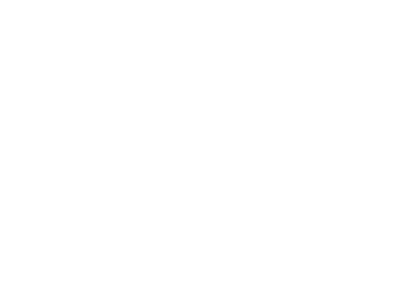 DBI_Logo_White