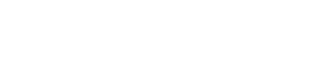 ServiceStream_Logo_White